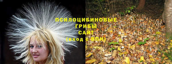 метамфетамин Лиски